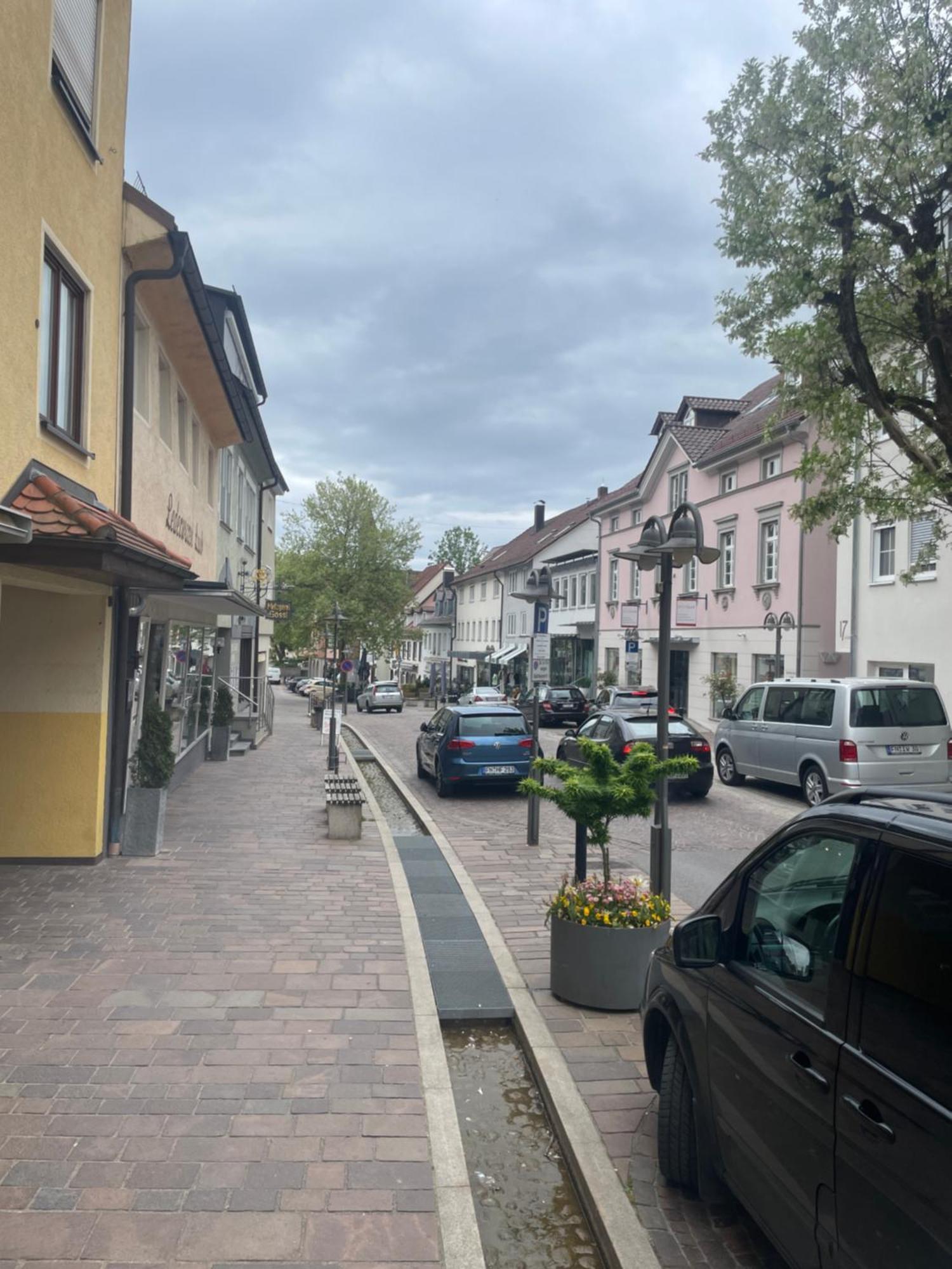 Golden Poodle Luxusappartment Am Neuen Schloss Tettang Tettnang Kültér fotó